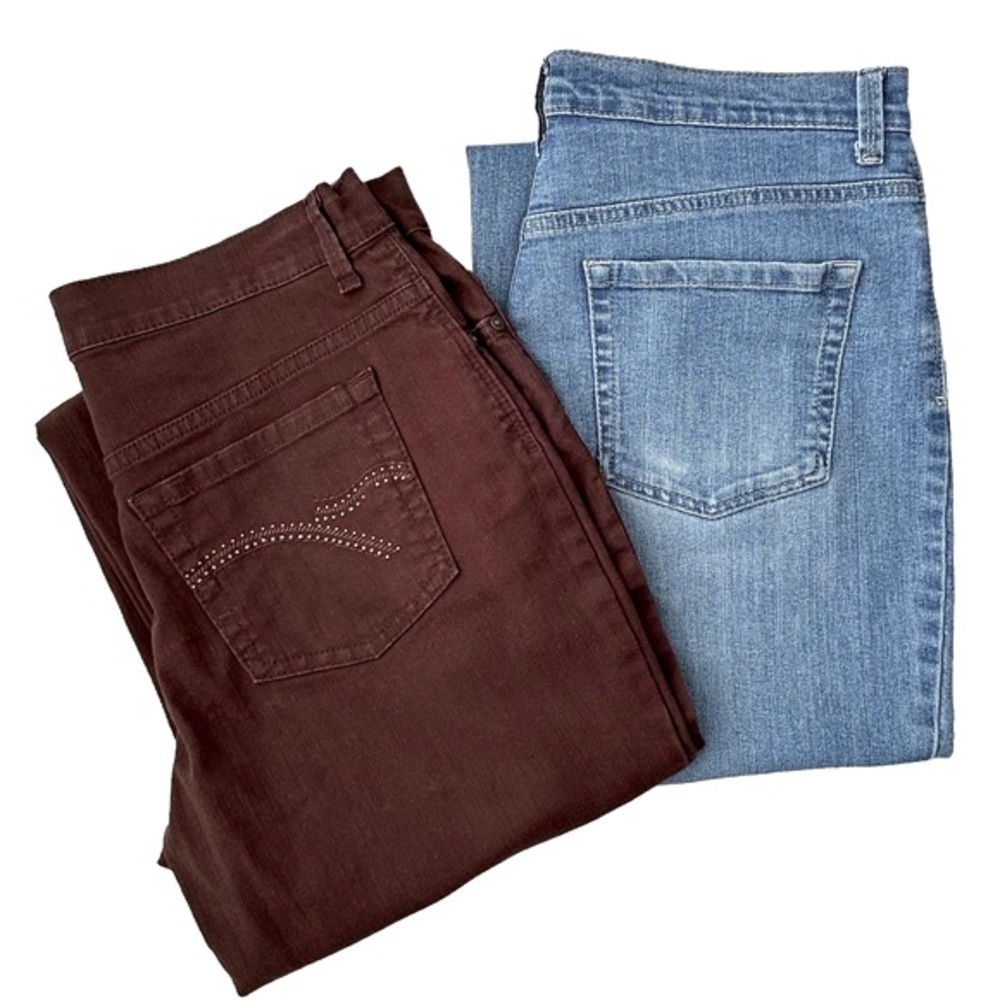 Gloria Vanderbilt Amanda Jeans Size 10 Short Bundle of Two Blue and Brown